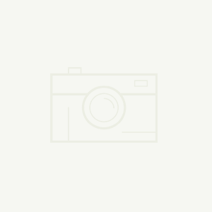 悦刻烟弹价格与质量的权衡