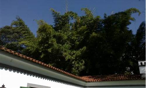 悦刻官网商城购物指南：如何选择适合你的电子烟