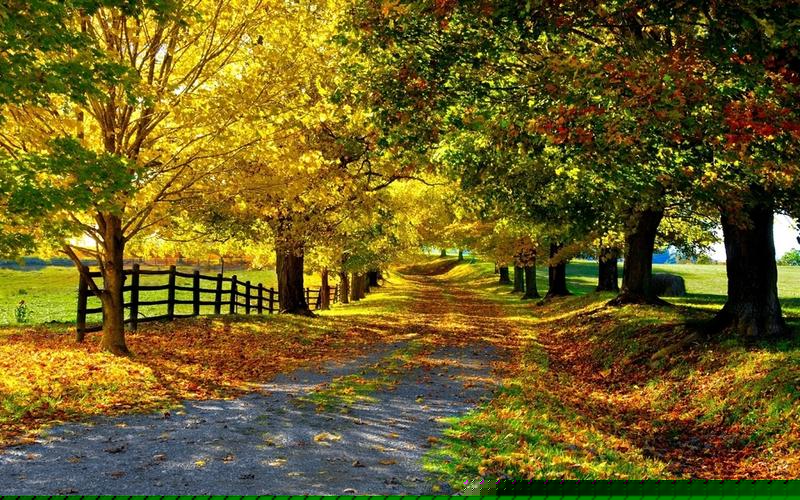 真格冰熊电子烟单杆：创新设计与便捷性体验