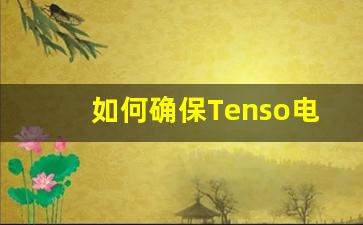 如何确保Tenso电子烟货源的品质和安全