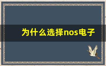 为什么选择nos电子烟货源成为市场趋势