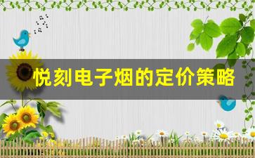 悦刻电子烟的定价策略及其市场定位